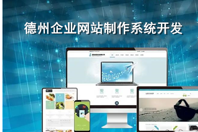 德州集團網站制作系統開發流程(圖1)